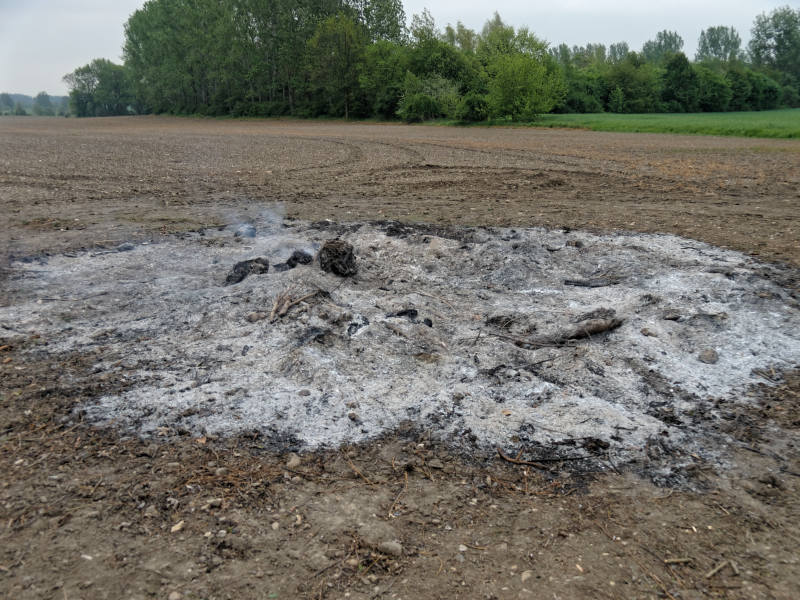 Am nächsten Morgen nur noch Asche.